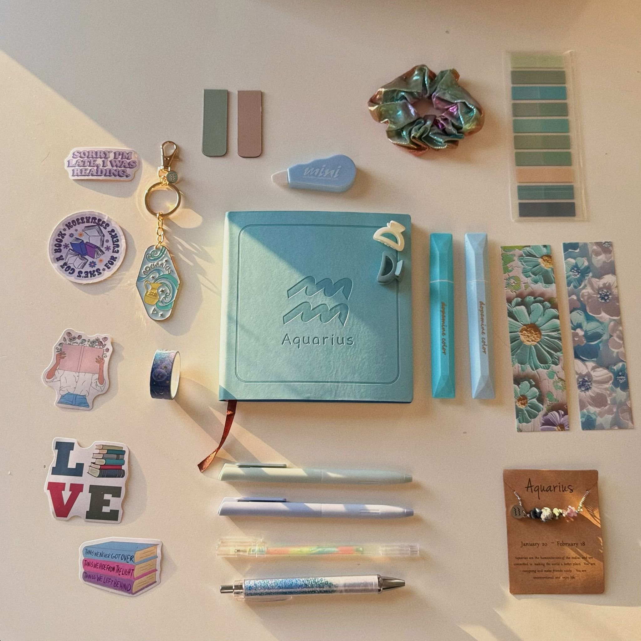 Zodiac Bookish Bundle Aquarius/16 Items and 2 Gifts